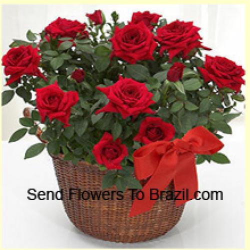 18 Graceful Red Roses