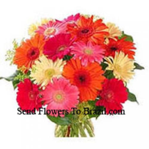 15 Assorted Gerberas