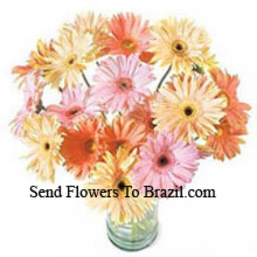 24 Gerberas Asortate de Lux