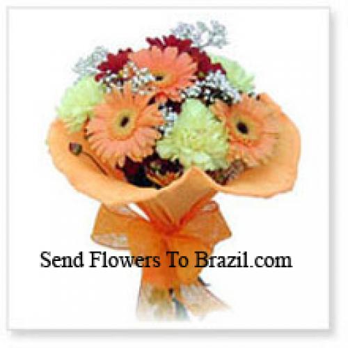 12 Assorted Cute Gerberas