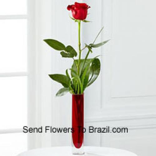 Cute Single Red Rose