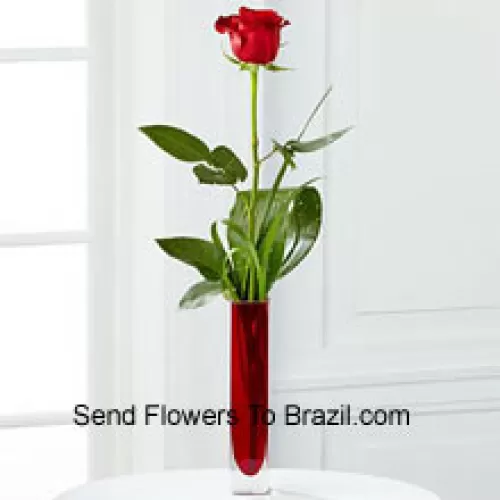 ורד אדום יחיד בצנצנת אדומה (נשמר לנו הזכות להחליף את הצנצנת במקרה של אי זמינות. מלאי מוגבל)
