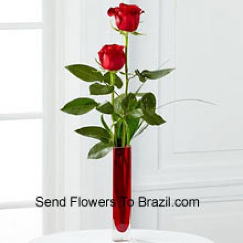 2 Douces Roses Rouges en Vase