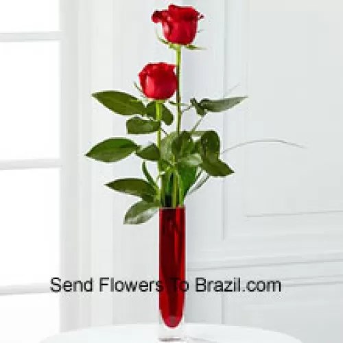 Duas Rosas Vermelhas em um Vaso de Tubo de Ensaio Vermelho (Reservamo-nos o direito de substituir o vaso em caso deindisponibilidade. Estoque limitado)