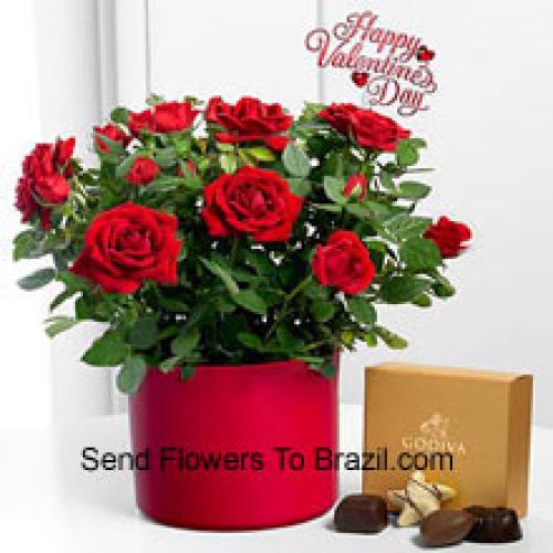 24 Red Roses with Yummy Godiva Chocolates